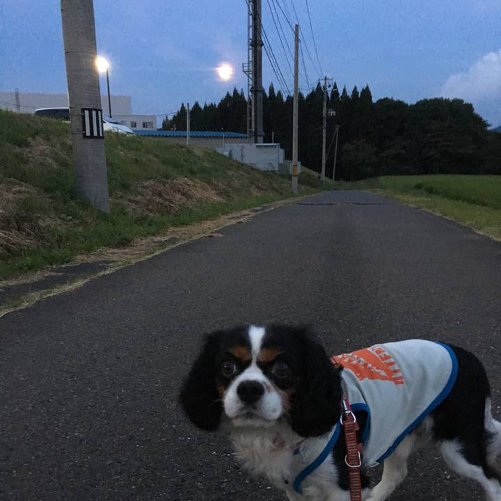 F4aa8a4a 3168 425f b20b bb412254fb1f