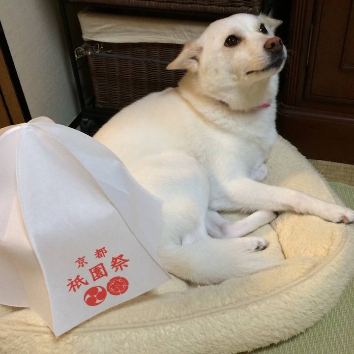 F4aab33b fc61 4904 849c cf5fbaabf8e8