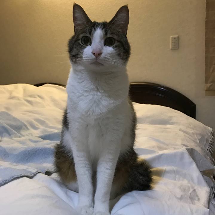 F4aae7cb 13ad 4216 a8ac ae540baa7c3b