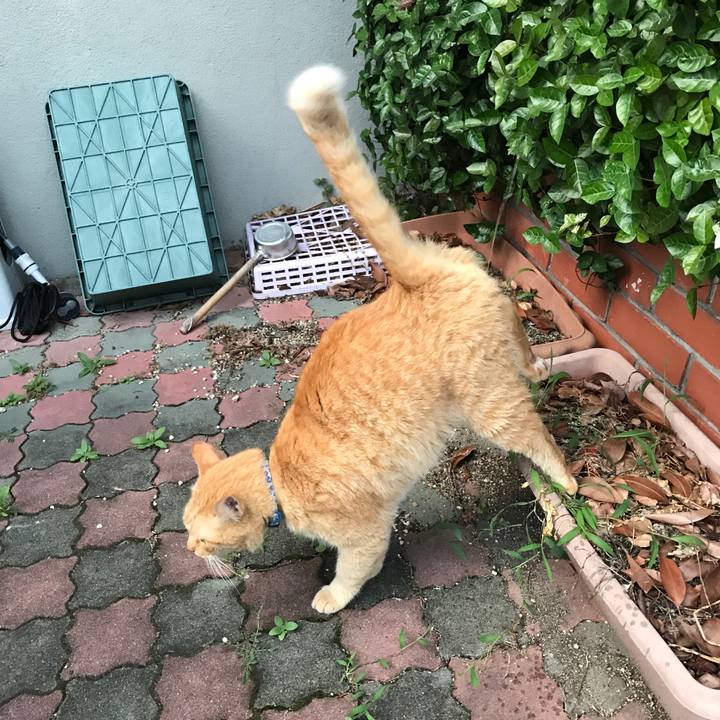 F4ac04ac 4290 431e 9919 8136c33f7899