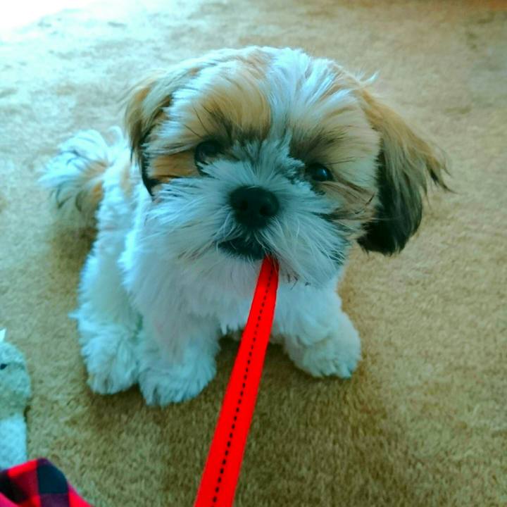 F4ac0c06 2331 401e a637 61387e0ce1be