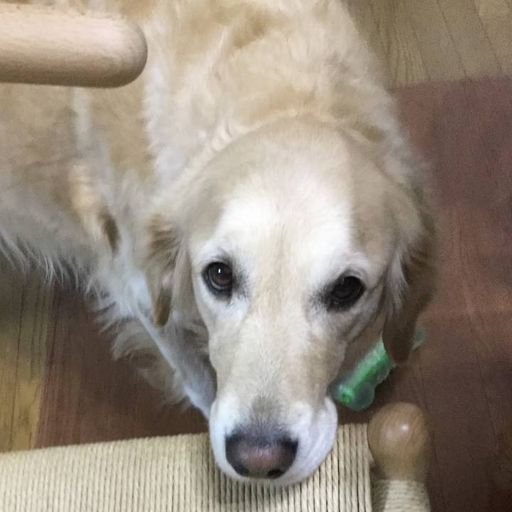 F4acaeeb bd8d 4b6f 86c1 aaf150711840