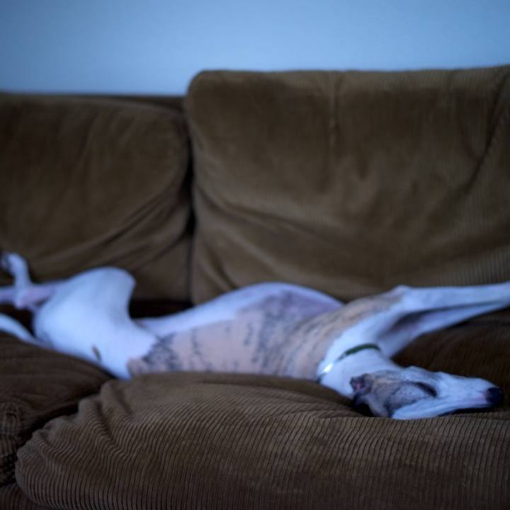 F4ad1063 4ac6 4d78 accd c331275226ff