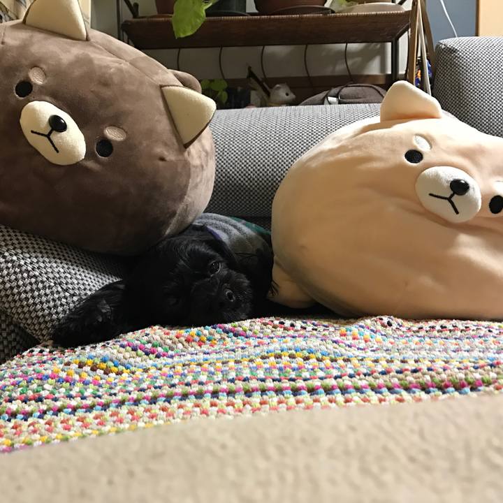 F4ad3252 ef84 4c06 8a7f 8cfb44e7c41a