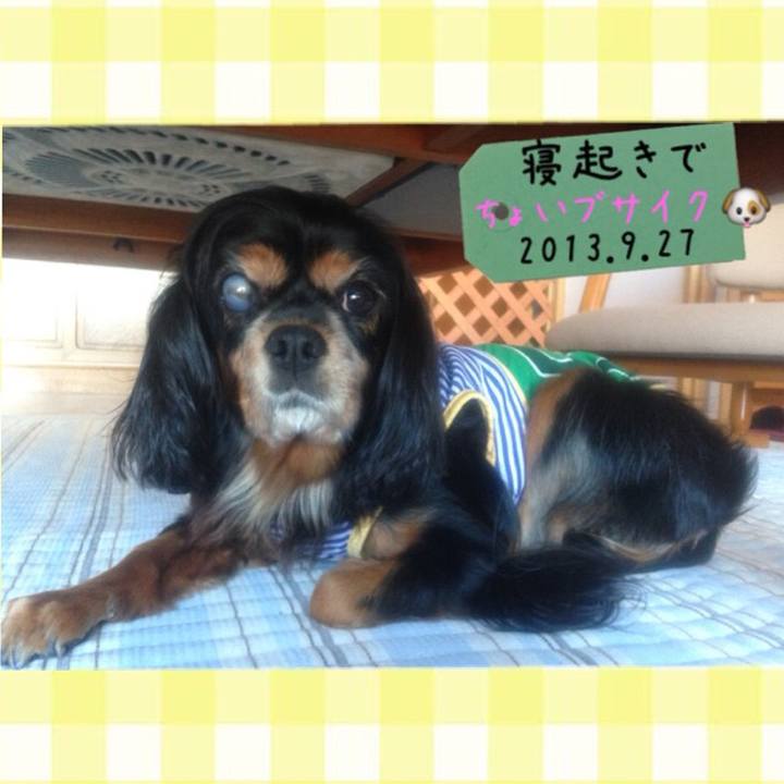 F4ad3d53 b3b8 4d48 bf6d 78c77f167145