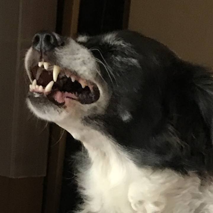 F4ad6db1 1ae1 4a8e 978b 50ba851b5c90