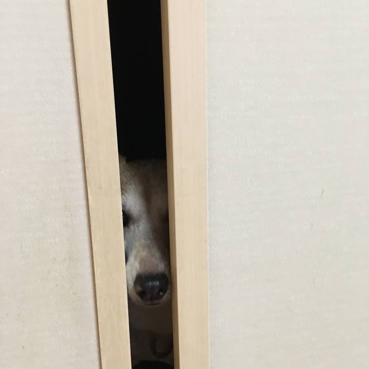 F4ade987 6e94 46d1 9401 978ef5e9b351