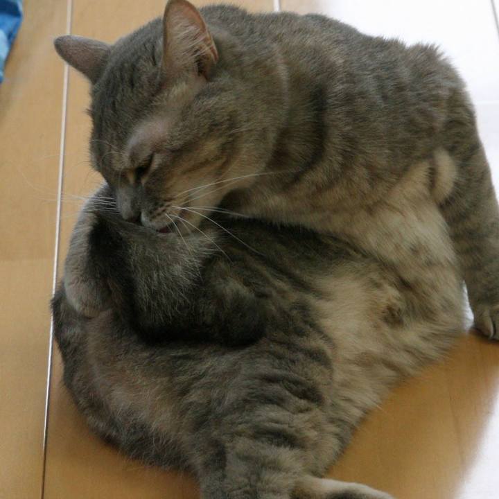 F4ae709a d396 4eaa bdba a5799df4dc1f