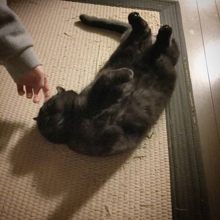 F4aec24b 4e60 4ac1 90bc 6f4eff38b072