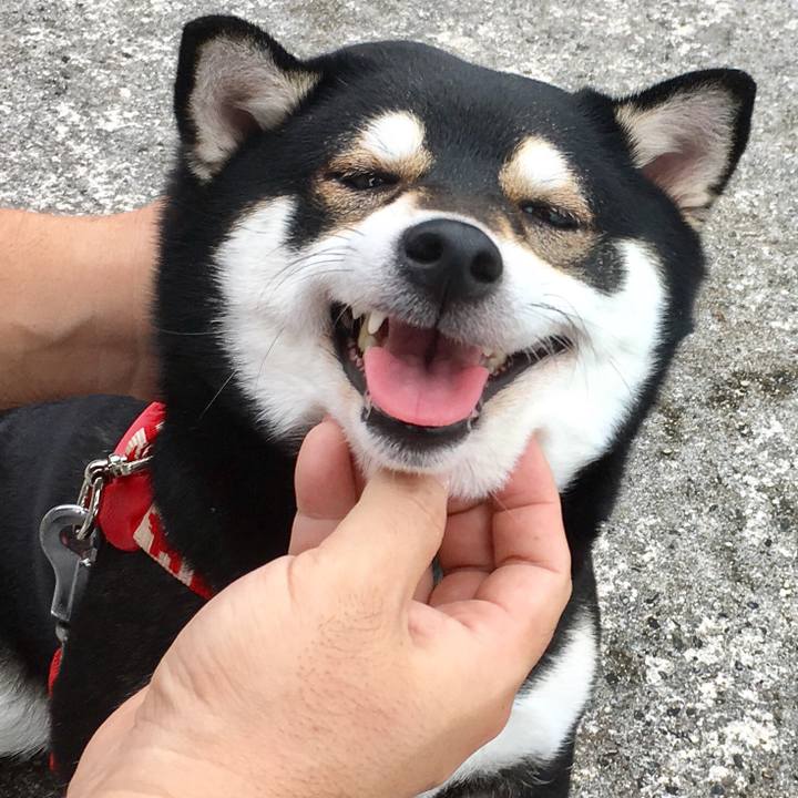 F4aed67d 1c1d 42f0 8754 d64d38e3a3e5