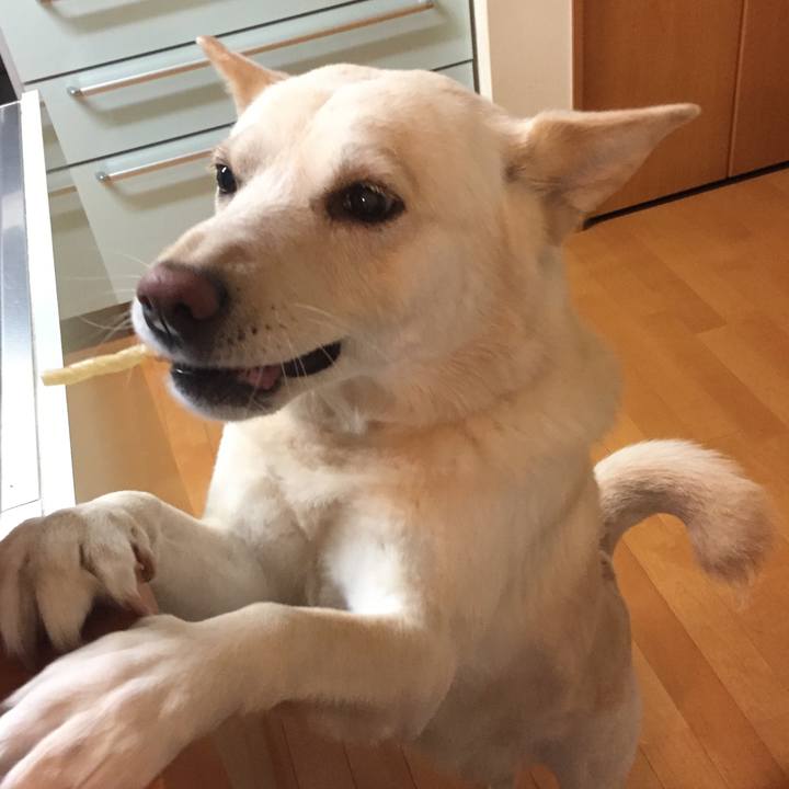 F4afc92a 80a5 42c3 97e2 05211c47d8e5