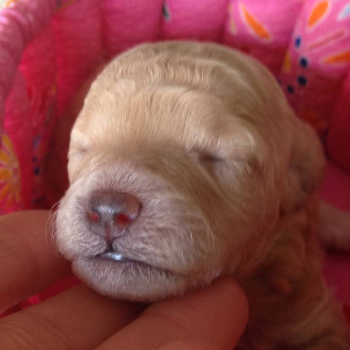 F4b09603 221e 4ad7 9fd7 cc93d1630b2a