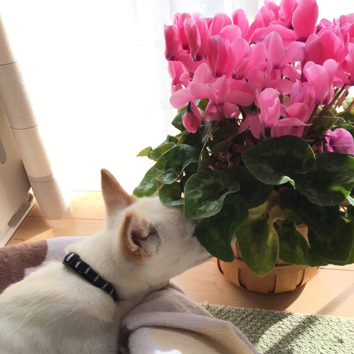 F4b0d1af 9f0e 4853 a77c 6191536299f7