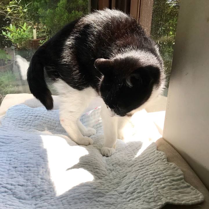 F4b10c73 a879 4830 991d bc0d18142ab0