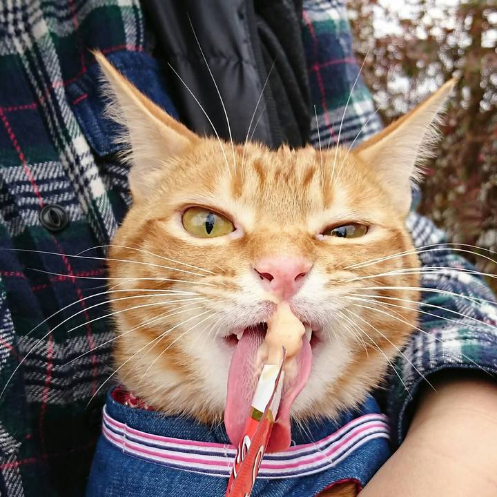 F4b2469b 3778 4875 ab1d eb18bef6d837