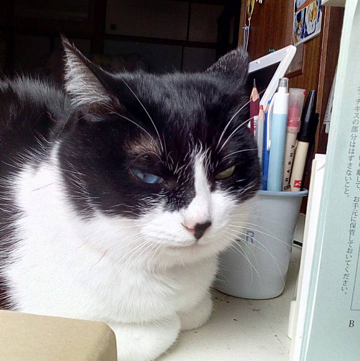 F4b276e4 b776 4863 88f9 1e3b8c11db4a