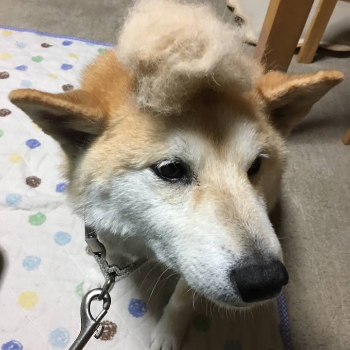 F4b2909f 3fe7 4e72 90a2 a66b07e772ee