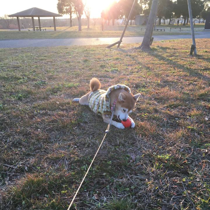 F4b2968b 8dbe 48fa a706 2a6e01aaae5b