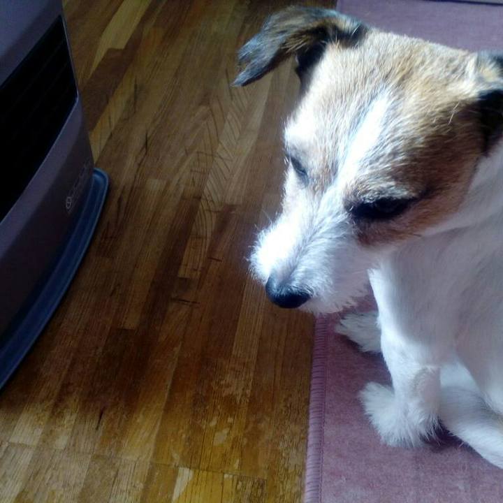 F4b41b60 8007 481f a2ce fe649e04b35e