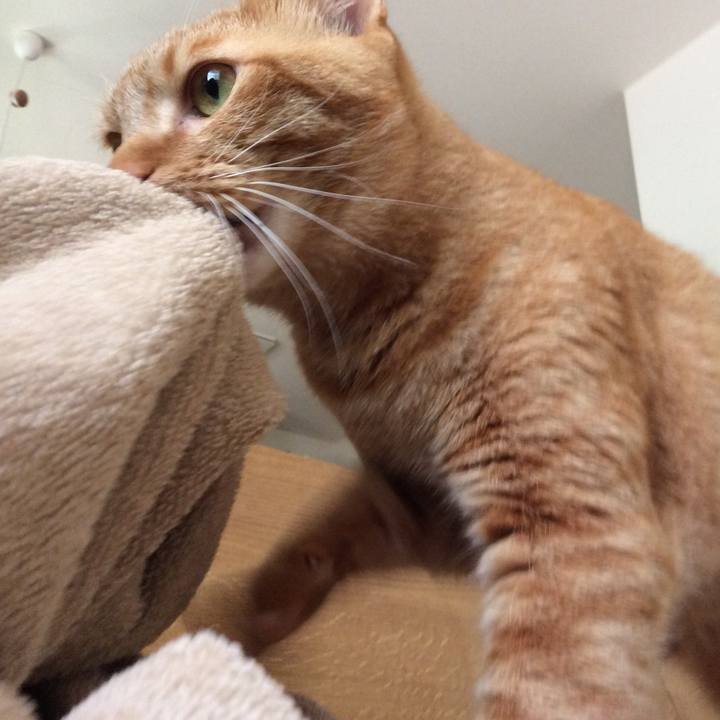 F4b6ca6a ffe0 488c 9d16 4076fa2f9f56