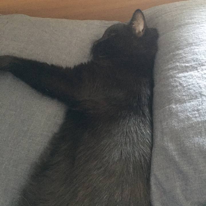 F4b783ed 7e40 49c1 b100 7377ac926384