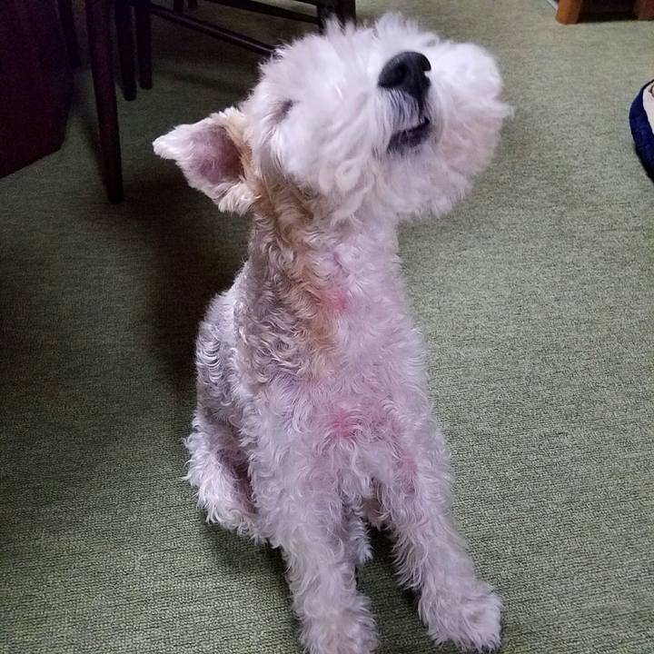 F4b8971a caaa 412c 84ff b284f0a4fef1