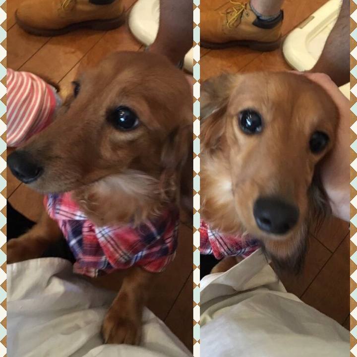 F4b8b5e2 1b9a 4639 b12a 9245a9ea2aa7