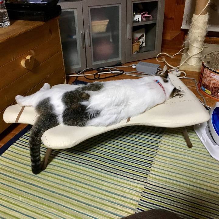 F4b90ef8 7e85 465c b11a 98b3d1cc9464