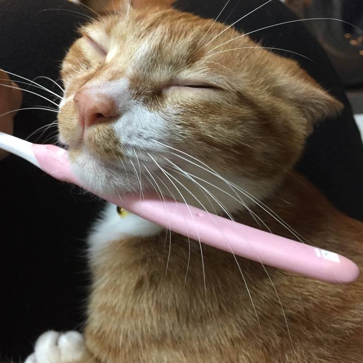 F4bab9de 258a 4b2b 85d4 82ad87c4a616