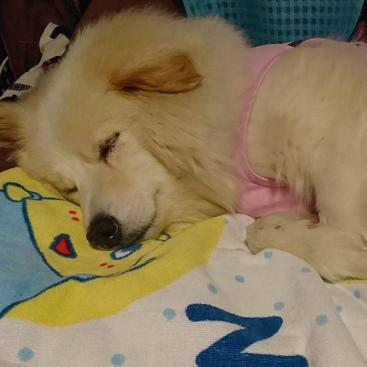 F4baf7e8 cdb7 4813 ab4a cef5499c9937