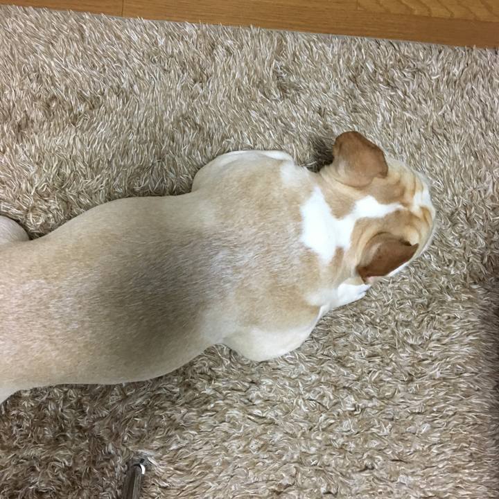 F4bb1b36 3871 44c4 98c4 ab5a2bf51de5