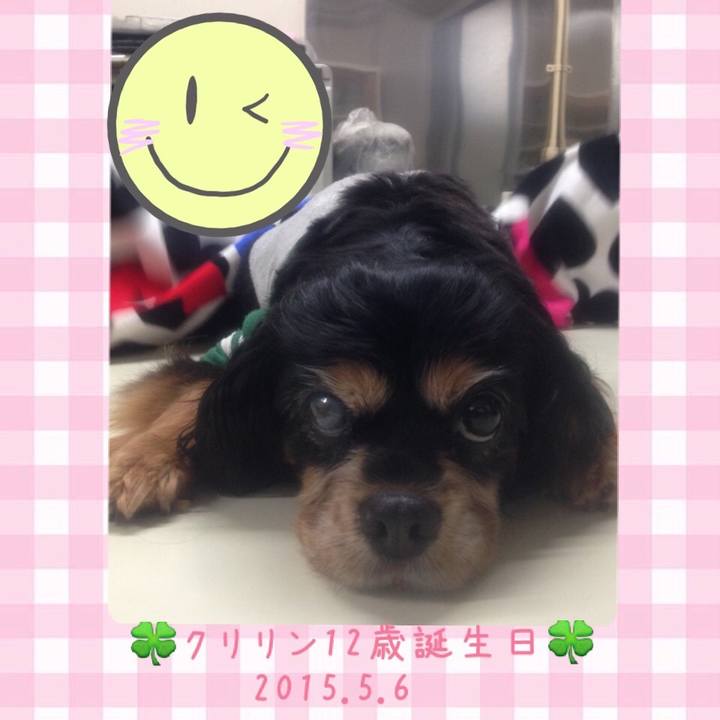 F4bb26e4 5541 47c0 9d47 d9873f84b9b0