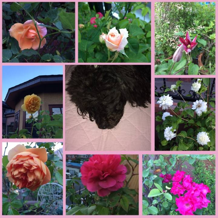 F4bba7d6 8620 459f 8c48 504d0935e427