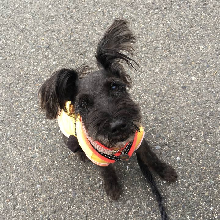 F4bbd281 b695 4a85 ab27 d953effdb05f