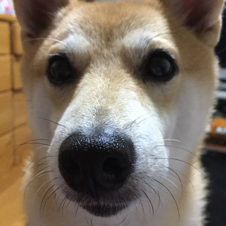 F4bc7d1f 7bb1 4d6b 990b 34448f617f68