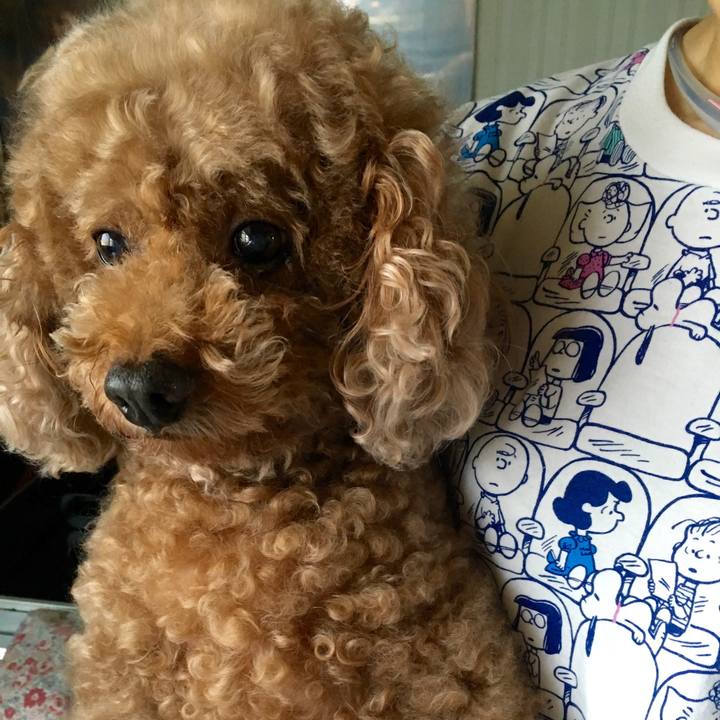 F4bcfc48 6881 465e a462 91aaee749ea5