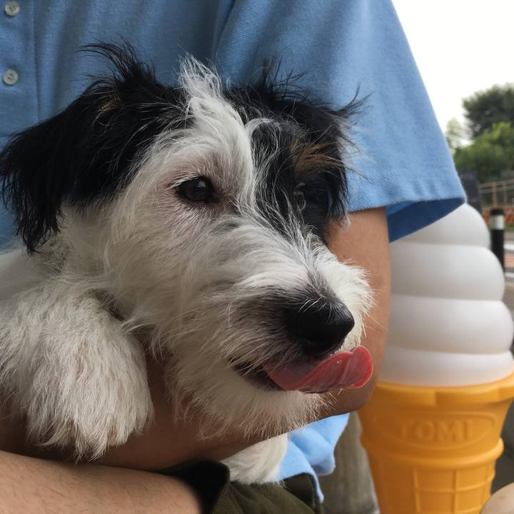 F4bd69a9 919e 42fd a957 d60f04cb45a8