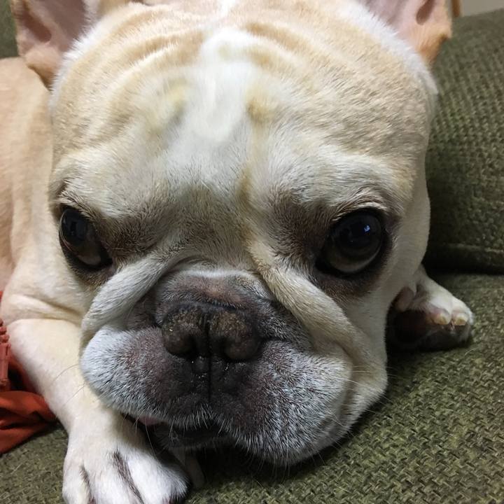 F4bea2c7 f3e2 4249 bfc9 e01695f14ff6