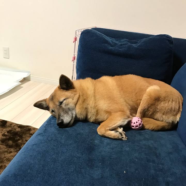 F4bf30ea 5202 4bb0 8491 c1cf82a41781