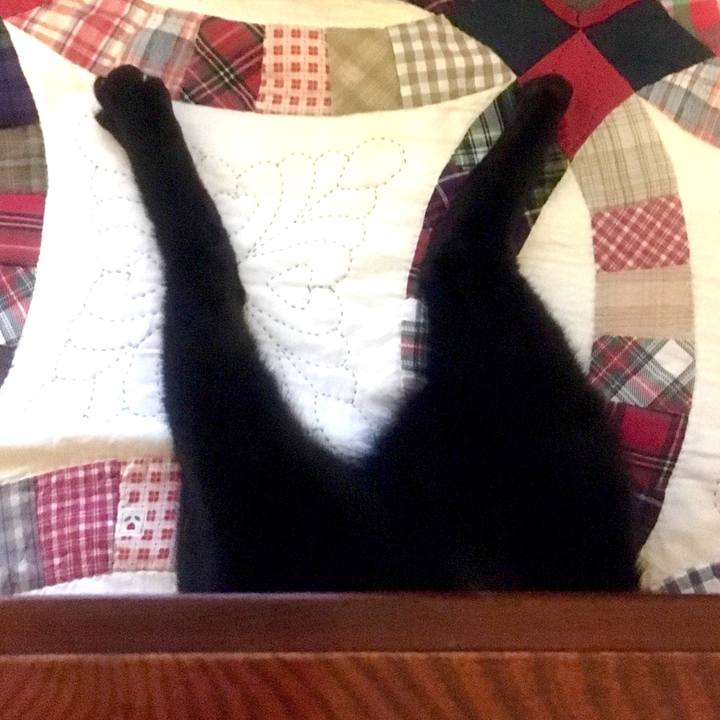 F4bfebcd 7a60 43d1 83e3 8c14d6183e6d