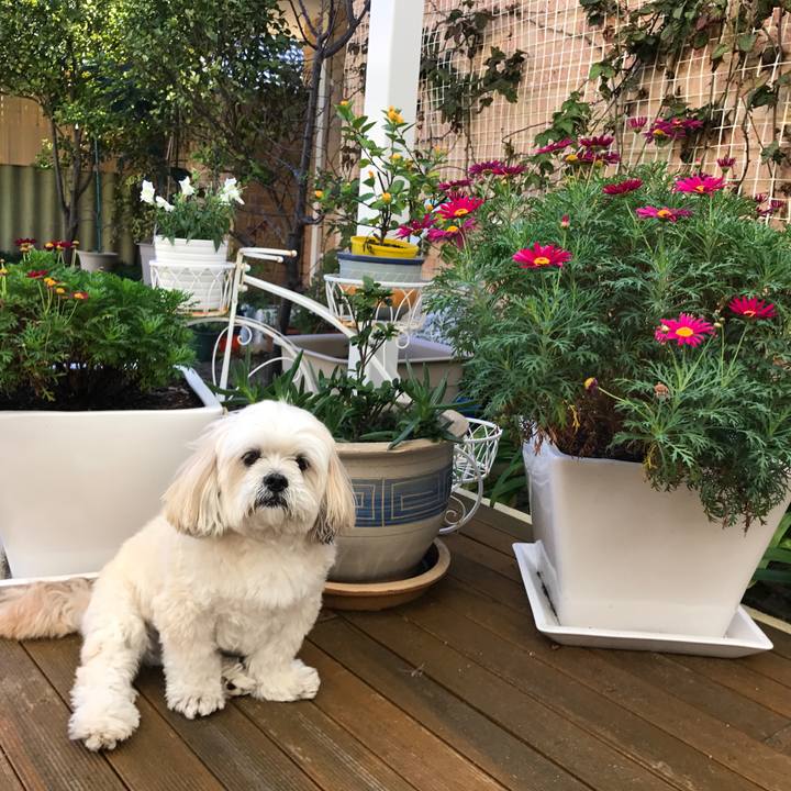 F4c0c861 2b69 4839 8d00 89b5376af07c