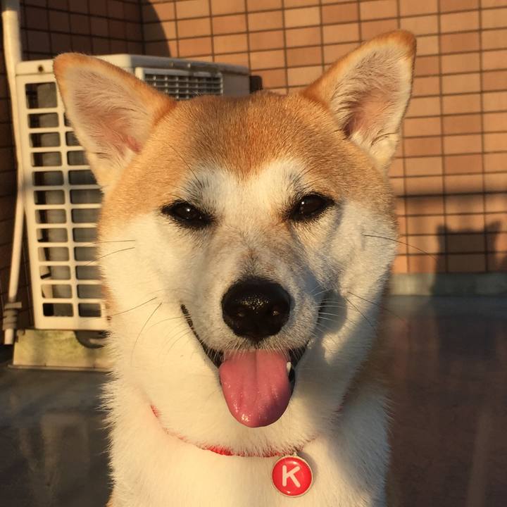 F4c10995 b93c 40ab ad1a 91c2568b00d8