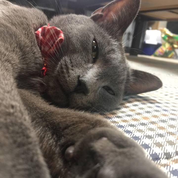 F4c1dd26 0dff 458e acce 6563143387ef