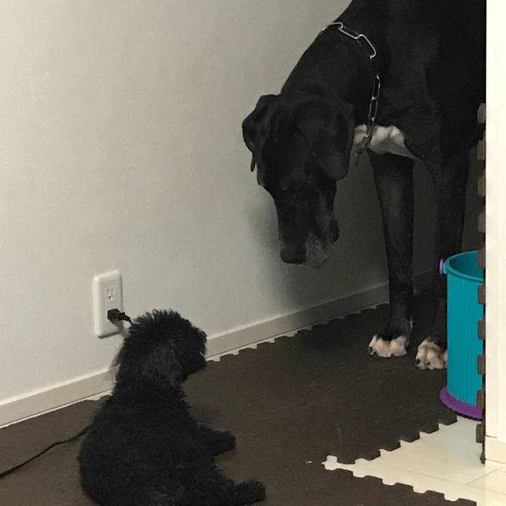 F4c1f366 cfc4 4502 95d5 f1f8e41d3a12