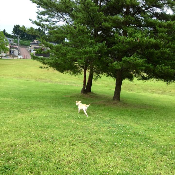 F4c31d73 9524 4668 969e 897b49717c77