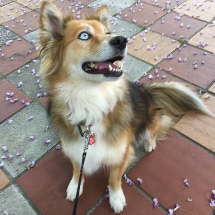 F4c35cb9 031f 41d0 ae8e 84bafe93f5dc