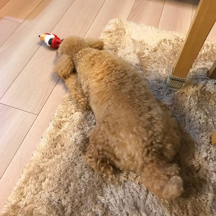 F4c3c41b 9df2 41cb a724 cdbaec42e5f9