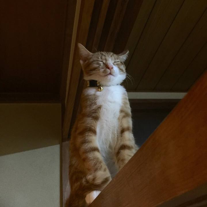 F4c3ea47 2079 4e4b 99cf 122464f5f7ac