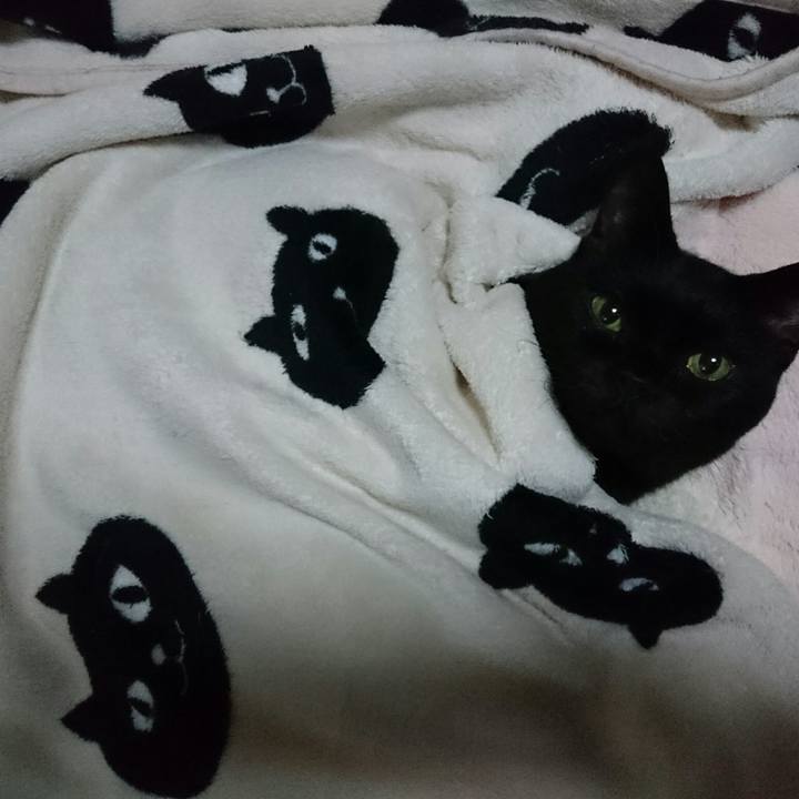 F4c49371 eb62 4000 a075 1542a9ffb97a