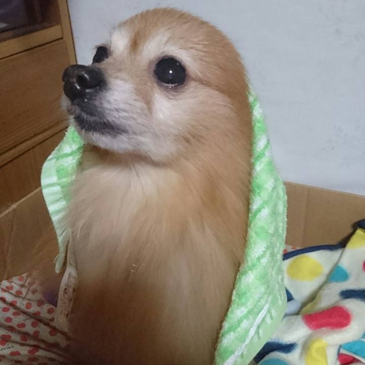 F4c52275 a57b 4278 9142 8c3cdd9b7938